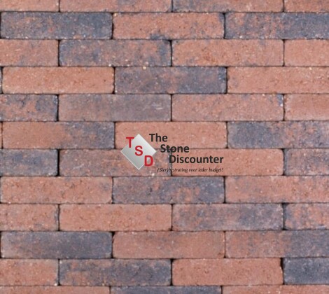 MBI Trommelkasseien Actionline Aardminnik 20x5x7 cm Kleurfoto