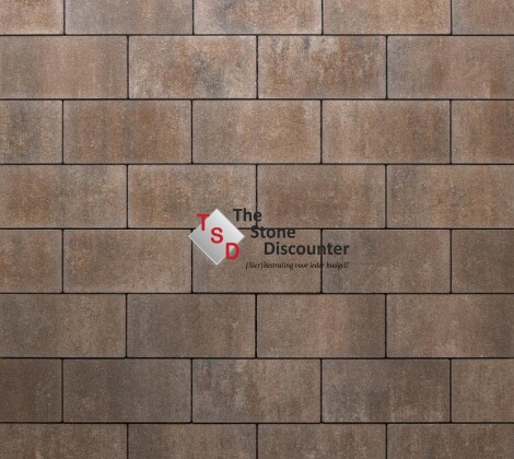 RedSun Smartton Aqua XL Kilimanjaro 30x15x8 cm Kleurfoto