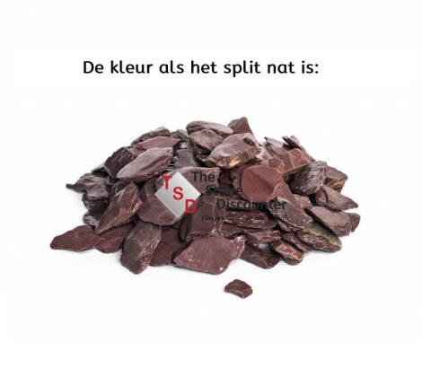 Canadian Slate Violet 30-60 mm productfoto nat