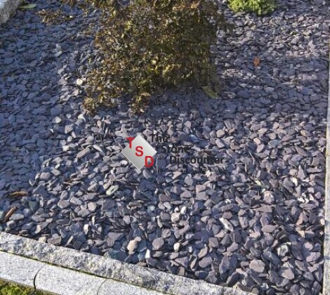 Canadian Slate Violet 30-60 mm sfeerfoto