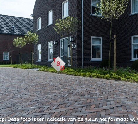 Ancona Antica DF65 sfeerfoto