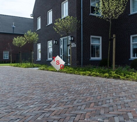 Ancona Antica WF65 sfeerfoto