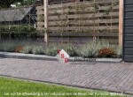 Lugano Antica DF65 Sfeerfoto