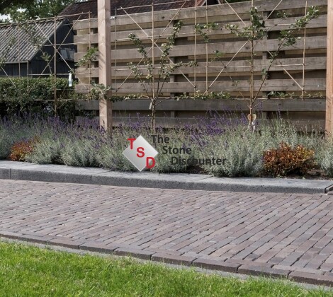 Lugano Antica WF65 Sfeerfoto