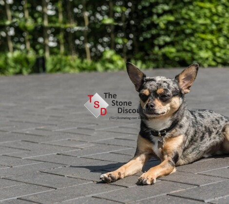 Milano KF52 Sfeerfoto