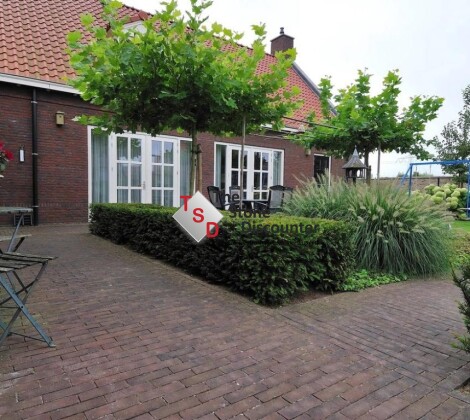 Violeto DF85 sfeerfoto