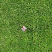 Kunstgras Amsterdam A