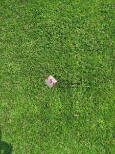 Kunstgras Amsterdam A