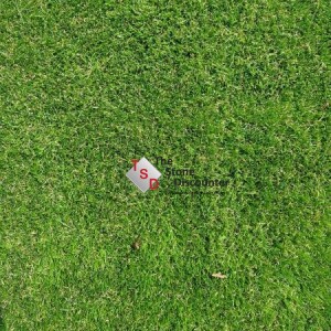 Kunstgras Amsterdam A