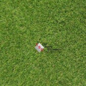 Kunstgras Lissabon A