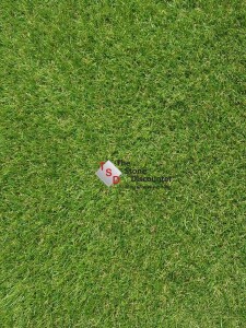 Kunstgras Lissabon A