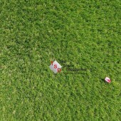 Kunstgras Stockholm A