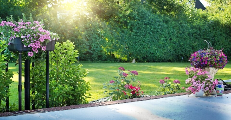 Verkoeling in de achtertuin.jpg