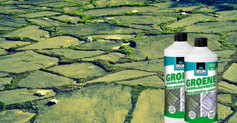 Groene aanslag Bison.JPG