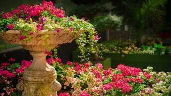 Maak uw tuin voorjaarsklaar