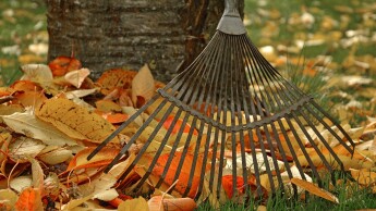 Herfsttips