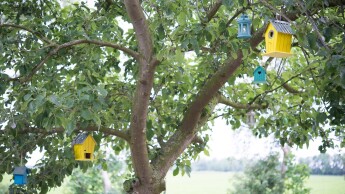 Gezellige wintertuin creëren!
