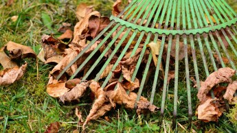 Jaarlijkse herfsttips bestrating